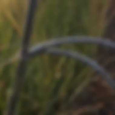 Baling Wire in Agricultural Use Close-up of baling wire used in agriculture