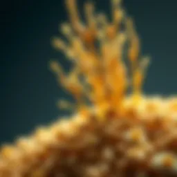 Zinc Pellets: Applications in Agriculture and Beyond Introduction